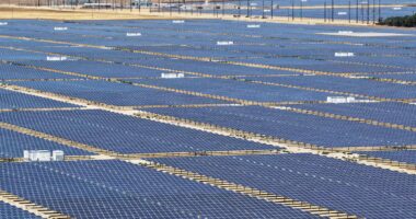 Investimento em transição energética é recorde, mas perde fôlego, aponta Fórum Econômico Mundial