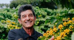 JDE Peet’s investe em agricultura regenerativa no café