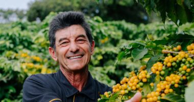 JDE Peet’s investe em agricultura regenerativa no café