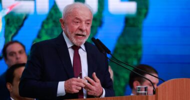 Lula diz que enviará dados de desmatamento na Amazônia para os EUA para confrontar tarifa de Trump