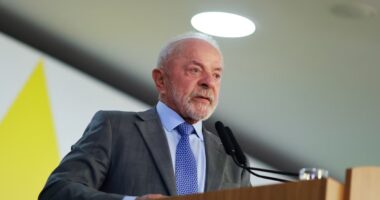 Lula veta projeto de lei que permite acesso a Bolsa Família por trabalhadores safristas