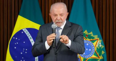 Lula: ‘Melhor resposta que podemos dar aos EUA é que China reconheceu Brasil livre da febre aftosa’
