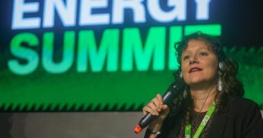Mobilidade elétrica avança no Brasil, mas esbarra em custo e coordenação