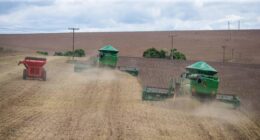 Plano Safra 2026/27 terá R$ 610,3 bilhões em recursos para agricultura empresarial e familiar