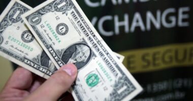 Qual será o rumo do dólar? No Brasil, a eleição presidencial tende a afetar essa trajetória