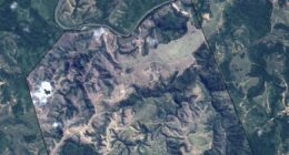 Quase metade das áreas conservadas de floresta são propriedades rurais