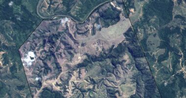 Quase metade das áreas conservadas de floresta são propriedades rurais