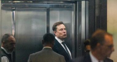 SpaceX define preço de IPO e deve inaugurar era de trilhões em Wall Street