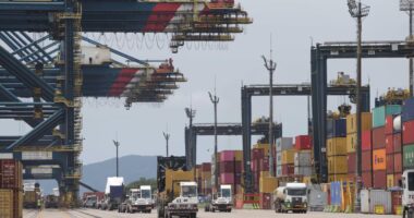 Tarifas adicionais dos EUA sobre o Brasil podem acumular e chegar a 37,5%, diz Amcham