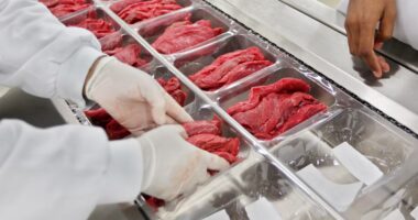 UE vetou carne brasileira por questões de fiscalização, não por status sanitário, diz associação