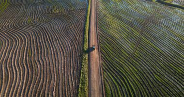 Agro quer juros abaixo de dois dígitos para renegociação e incluir produtores com perda de renda
