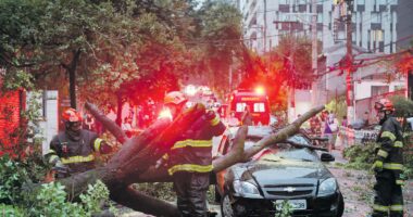Alerta de El Niño intenso mobiliza empresas de telefonia a investir em resiliência climática