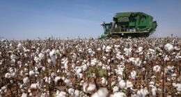 BNDES vai ofertar R$ 72 bilhões em financiamentos à agropecuária na safra 2026/27