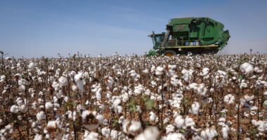 BNDES vai ofertar R$ 72 bilhões em financiamentos à agropecuária na safra 2026/27