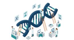 Bebês geneticamente modificados: existe apenas um caminho aceitável para a edição genética
