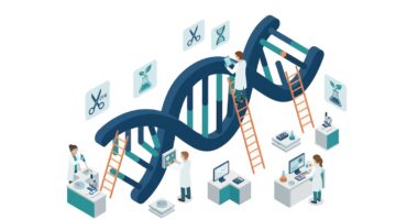 Bebês geneticamente modificados: existe apenas um caminho aceitável para a edição genética