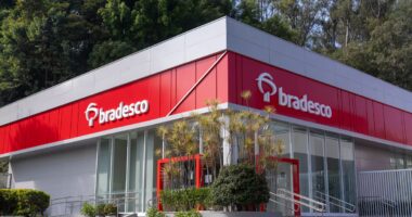Bradesco projeta liberar R$ 50 bilhões em crédito na safra