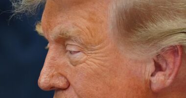 Brasil levantou a bola sobre trabalho forçado para Donald Trump cortar