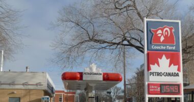 Canadense Couche-Tard negocia com Grupo Ultra compra de fatia da Ipiranga