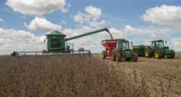 Como a crise atual deveria virar uma oportunidade de aprendizado para as famílias do agro