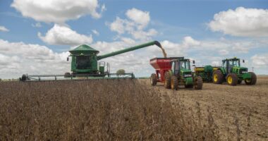 Como a crise atual deveria virar uma oportunidade de aprendizado para as famílias do agro