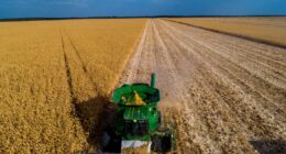 Crédito rural: há luz no fim da dívida?