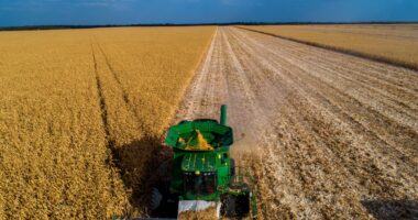 Crédito rural: há luz no fim da dívida?