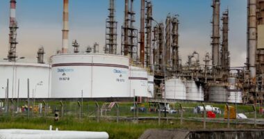Credores da Braskem cobram maior participação da Petrobras em negociação