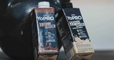 Danone renova estratégia ESG e quer suprir alta demanda por proteína do leite sem elevar metano