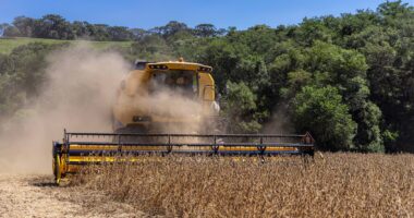 El Niño acende alerta entre economistas por risco de perdas no agro e pressão no preço de alimentos