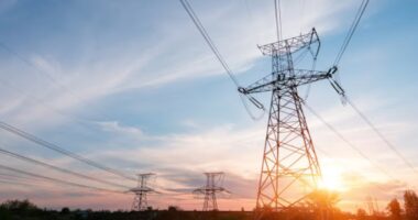 Entidades do setor elétrico enviam a Alcolumbre carta contra ‘jabutis’ em projeto no Senado