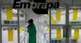 Exportação como métrica real da inovação