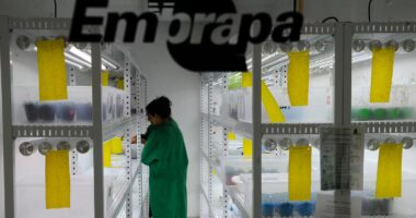 Exportação como métrica real da inovação