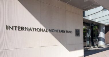 FMI valoriza ‘resiliência’ do Brasil na crise global
