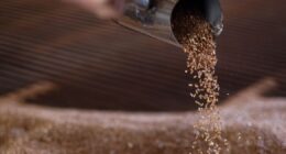 M.Dias agrega valor ao farelo de trigo para nutrição animal