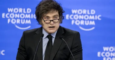 Milei não pode 'atacar as instituições brasileiras', diz presidente do PT a jornal argentino