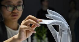 Novo modelo de IA chinês surpreende indústria de tecnologia dos EUA e rivaliza com Claude e ChatGPT