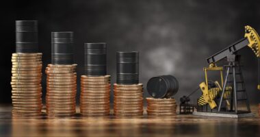 Países da Opep+ concordam em expandir produção de petróleo