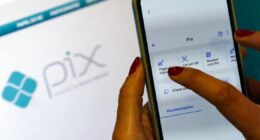 Pix é forma de pagamento em metade das compras online, aponta plataforma