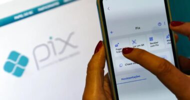 Pix é forma de pagamento em metade das compras online, aponta plataforma