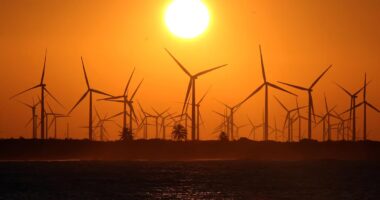 Por que o Brasil não consegue atrair mais investimentos em infraestrutura