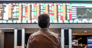 Proteção ao investidor no mercado de capitais brasileiro exige mais do que acesso ao mercado