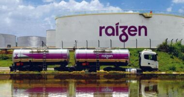 Raízen vende usina Caarapó para Adecoagro por R$ 760 milhões