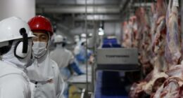 Reino Unido manterá importação de carne do Brasil mesmo com restrição da União Europeia