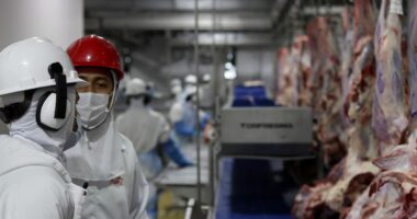Reino Unido manterá importação de carne do Brasil mesmo com restrição da União Europeia