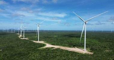 Setor elétrico deve liderar ofertas de ações no segundo semestre