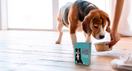 Embalagem da Tetra Pak inova o mercado pet food no Brasil