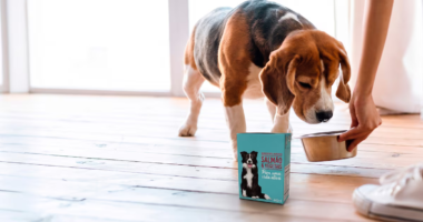Embalagem da Tetra Pak inova o mercado pet food no Brasil