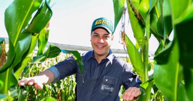 FAEP cobra crédito emergencial e apoio a produtores após tornado no Paraná