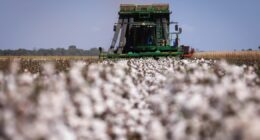 Fertilizante, seguro, abertura de mercado: veja as propostas dos candidatos a presidente para o agro